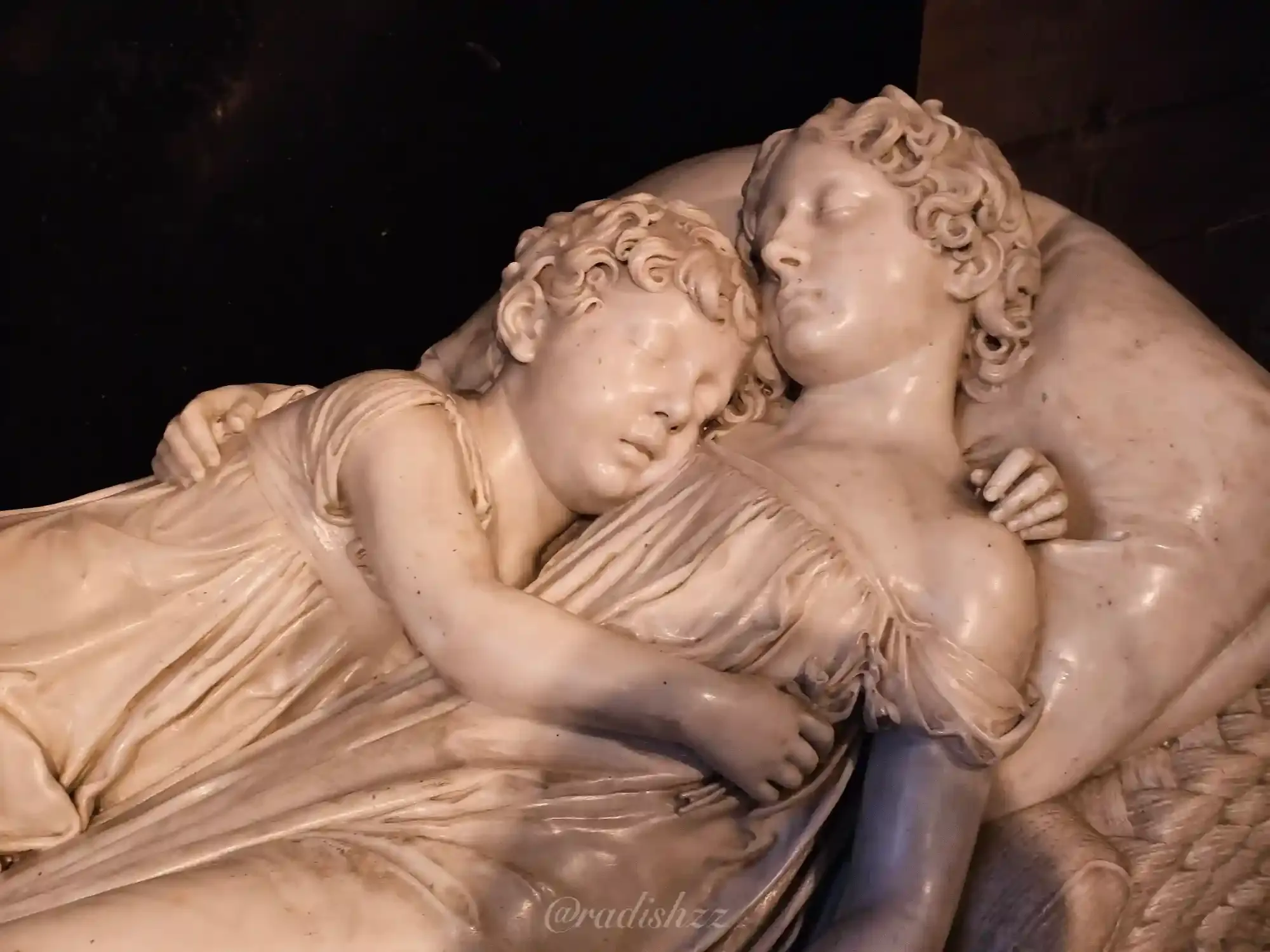 Here's the description of the picture